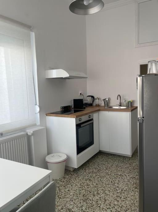 Cozy, Spacious, Newly Renovated Flat In Adamas 外观 照片